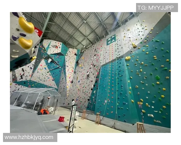 攀岩精神：探索上海攀岩队员的个人能力与成长之路